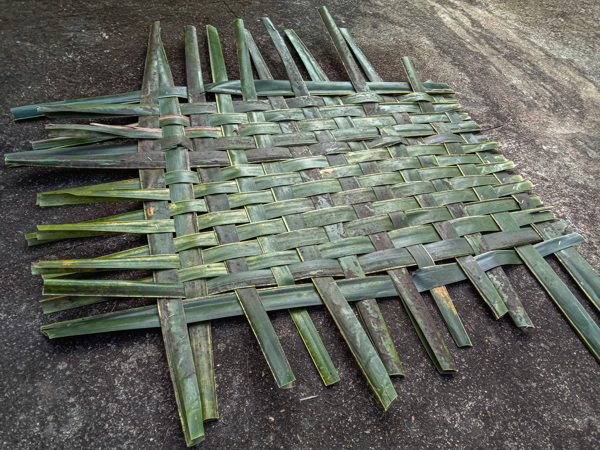 Palm leaf weaving
