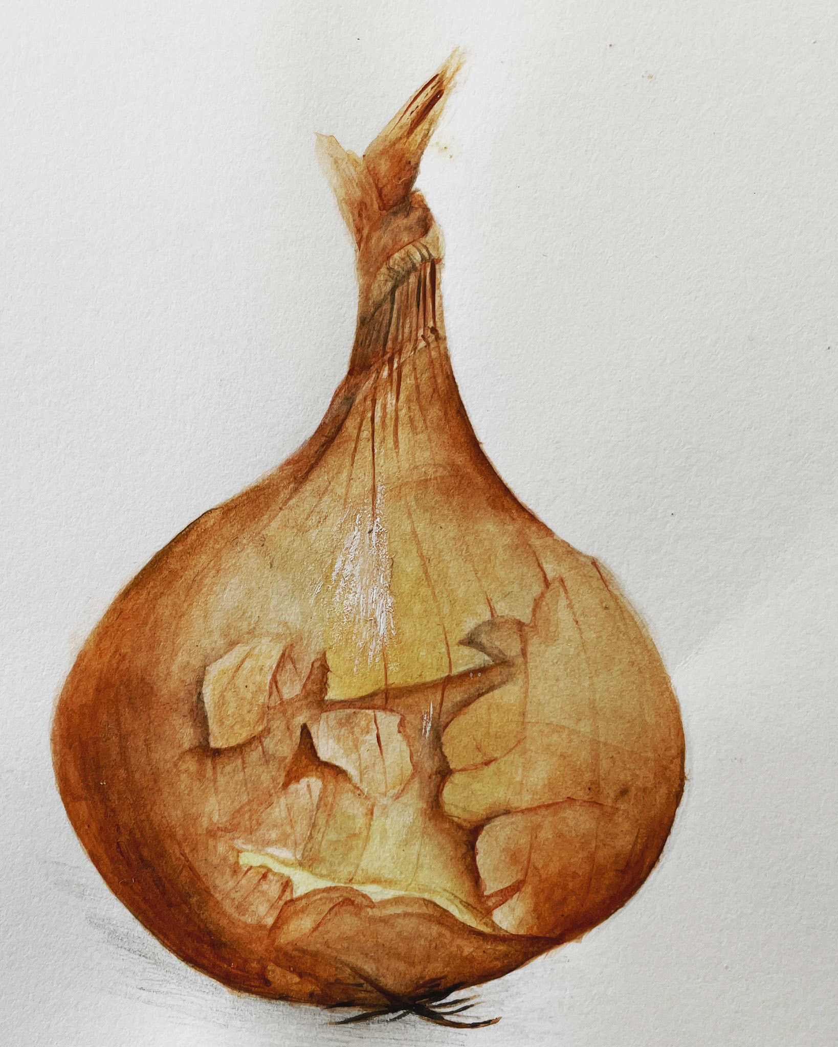 Etude documentaire ° 14cmx16cm