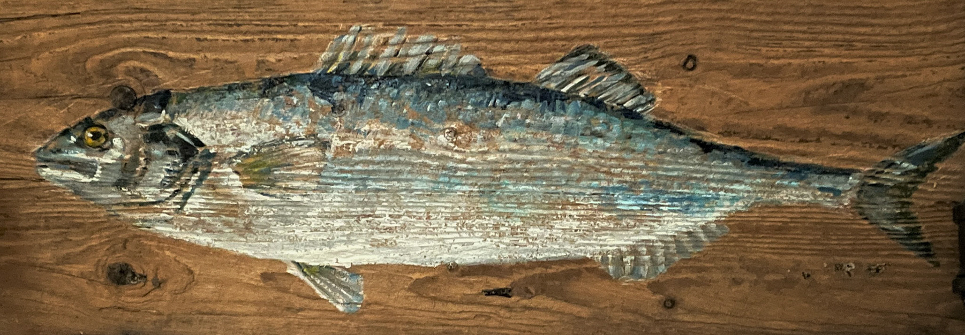 Poisson de bois ° 95cmx28cm