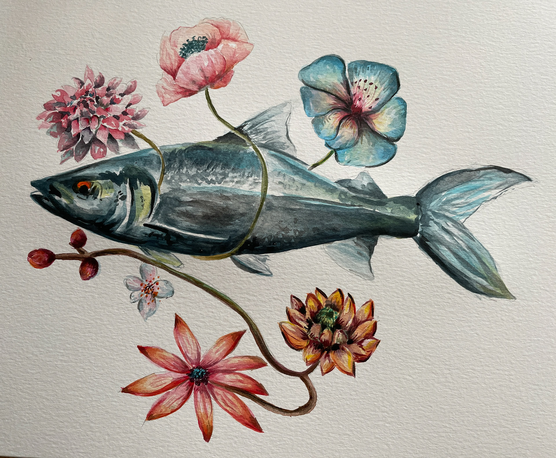 Fraîche ° 30cmx21,5cm