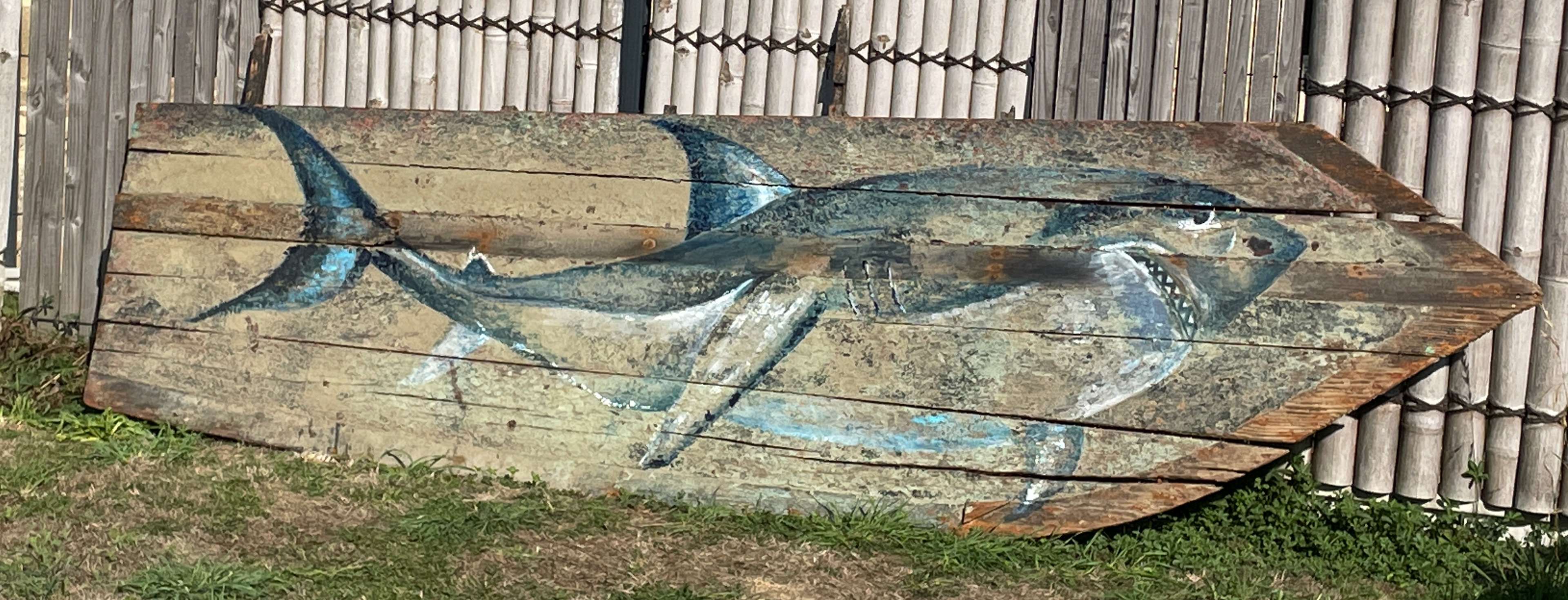 Requin de bois ° 330cmx90cm