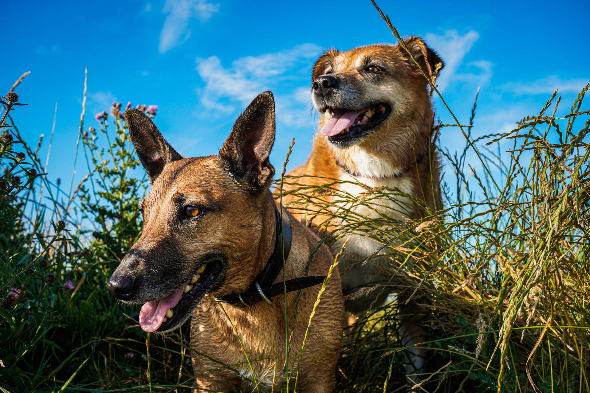 Billy and Pippa