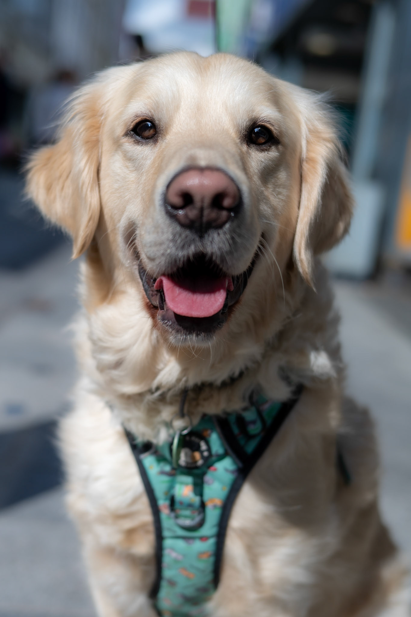 Ted