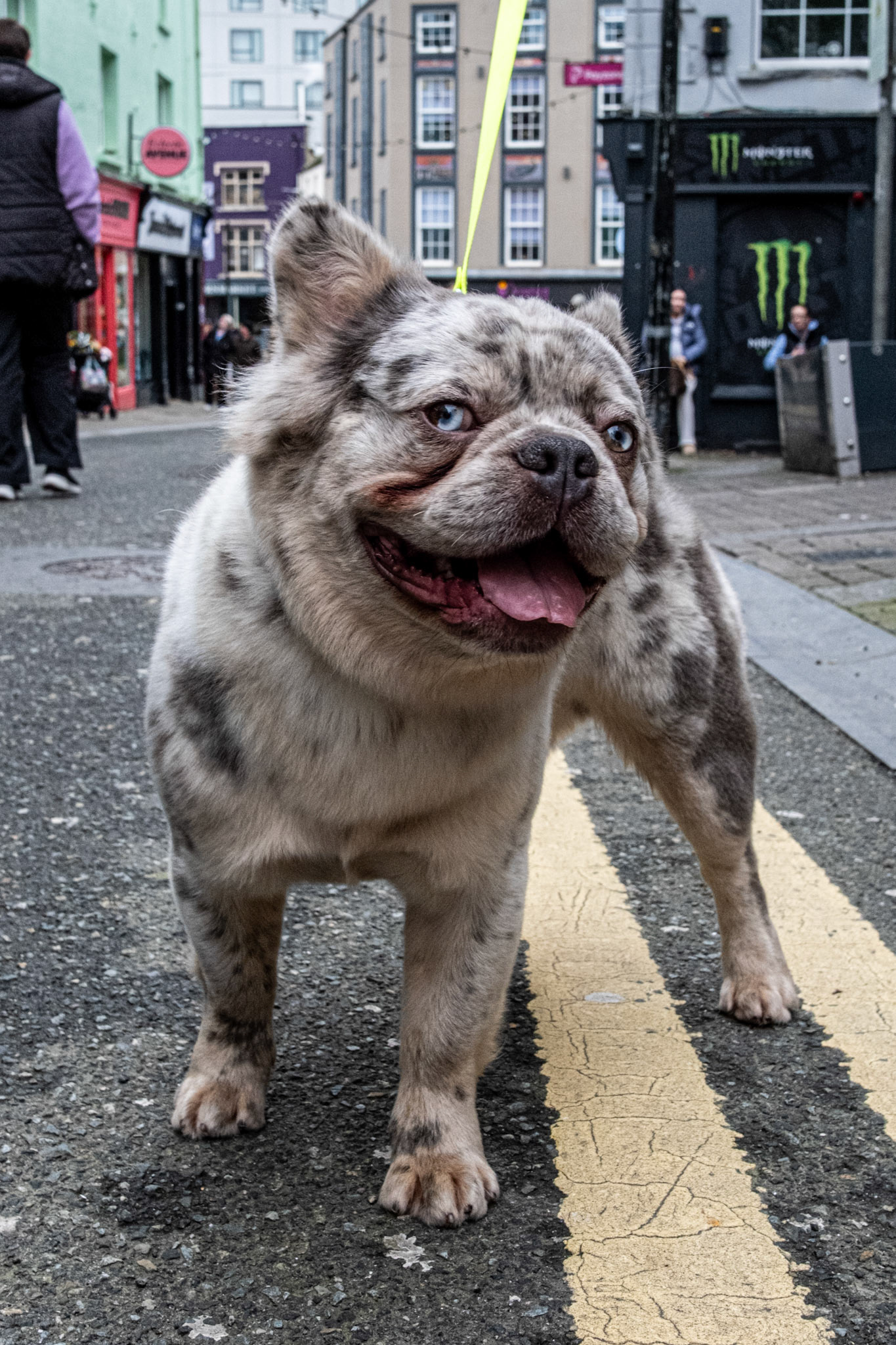 Chico