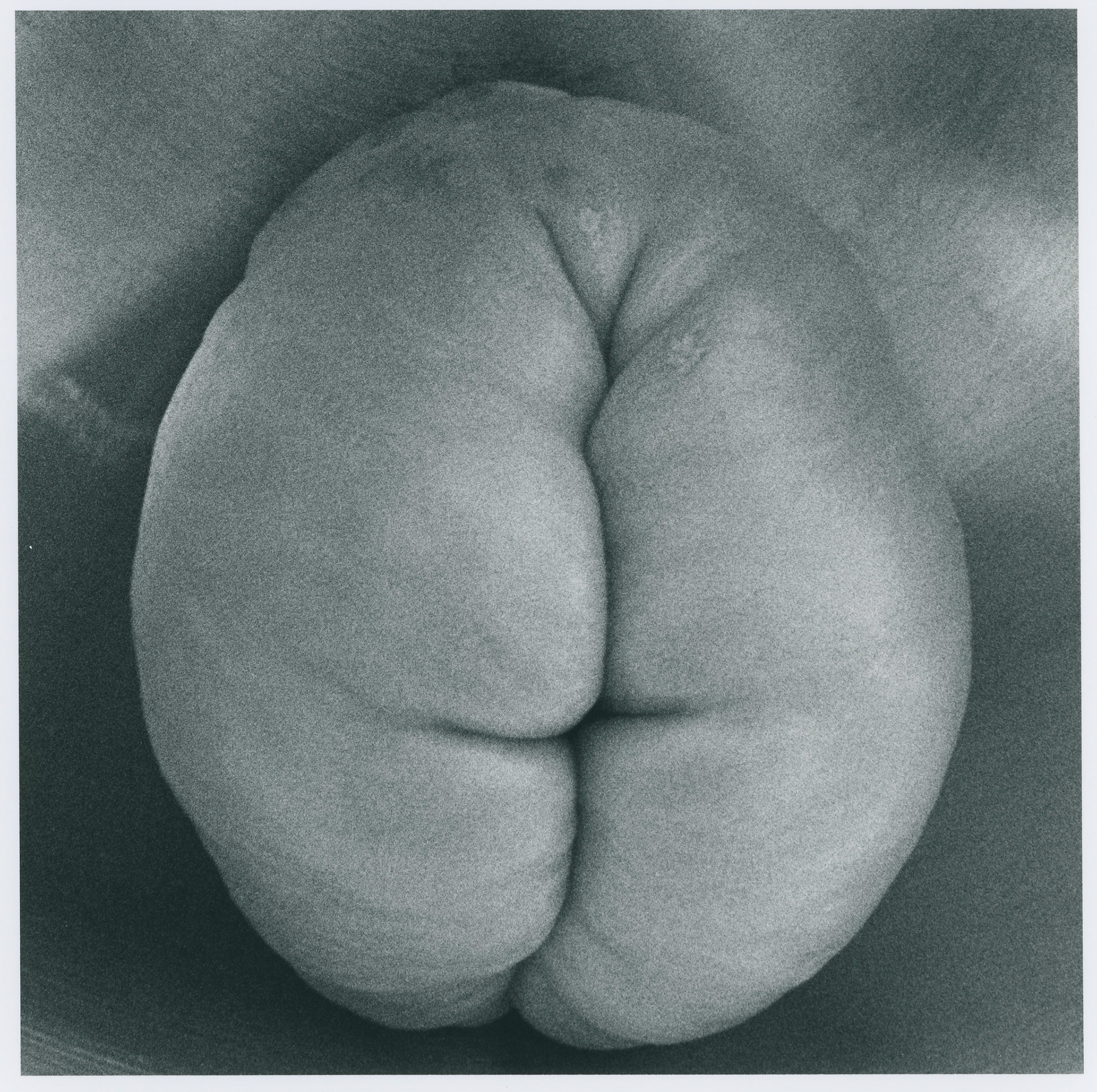 chayote