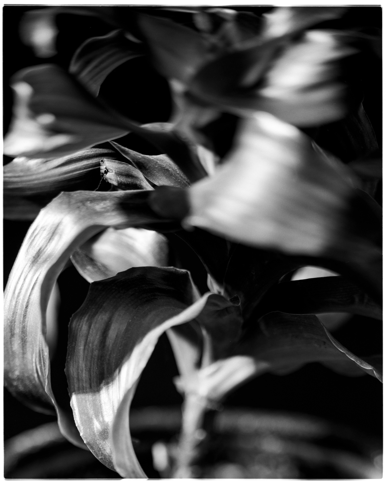 spinning