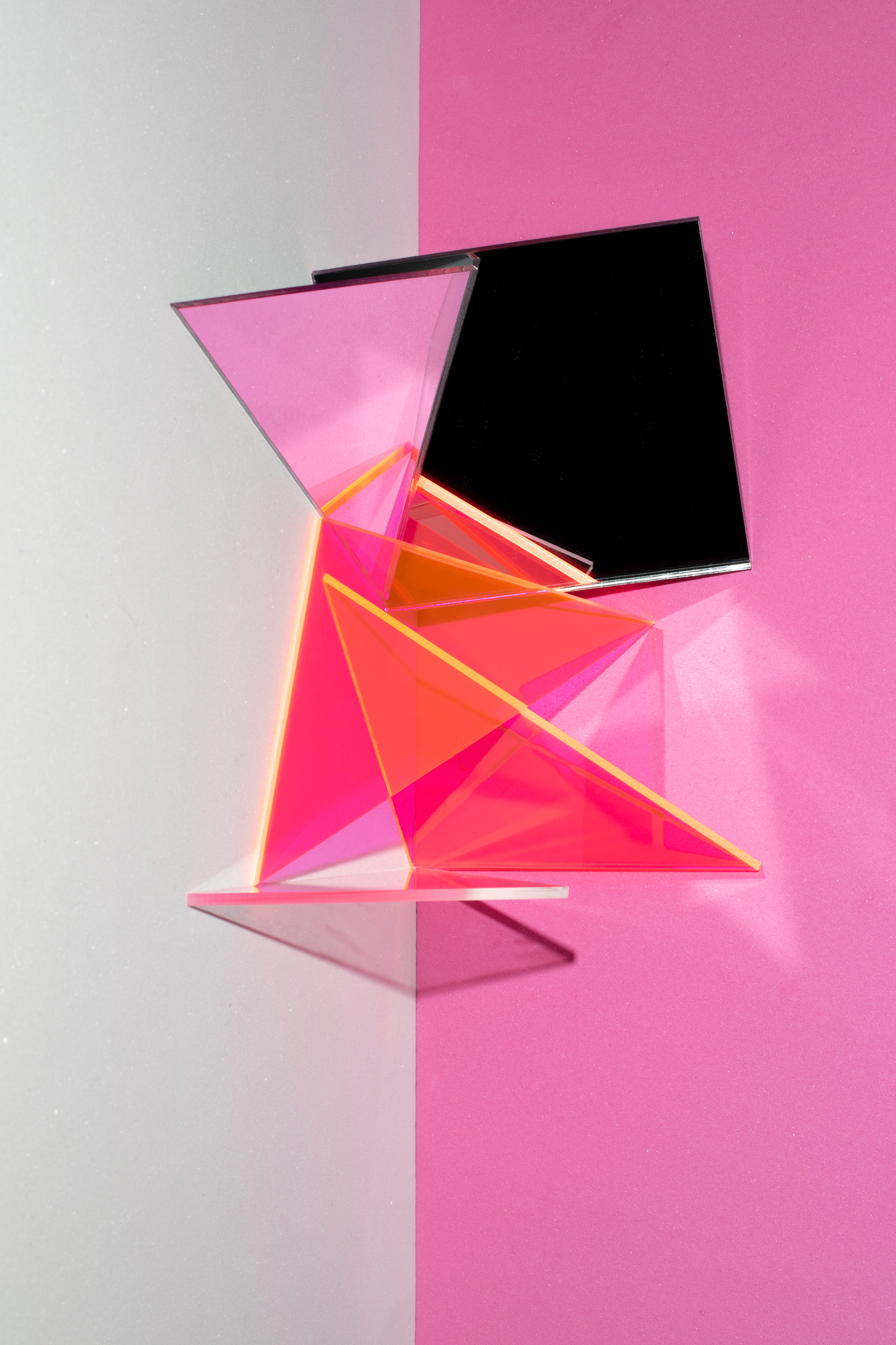 bisected no. 41