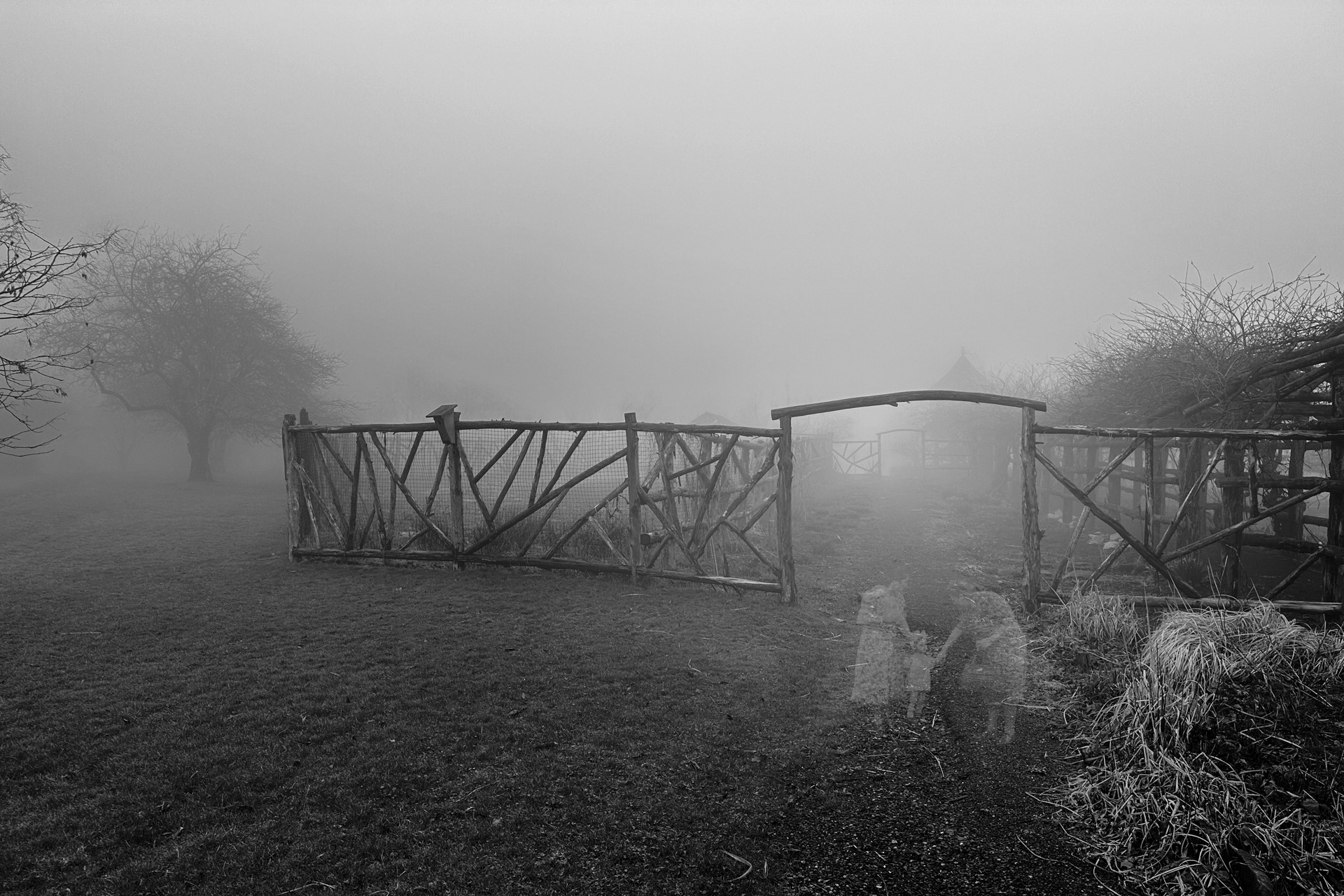 Through the gate