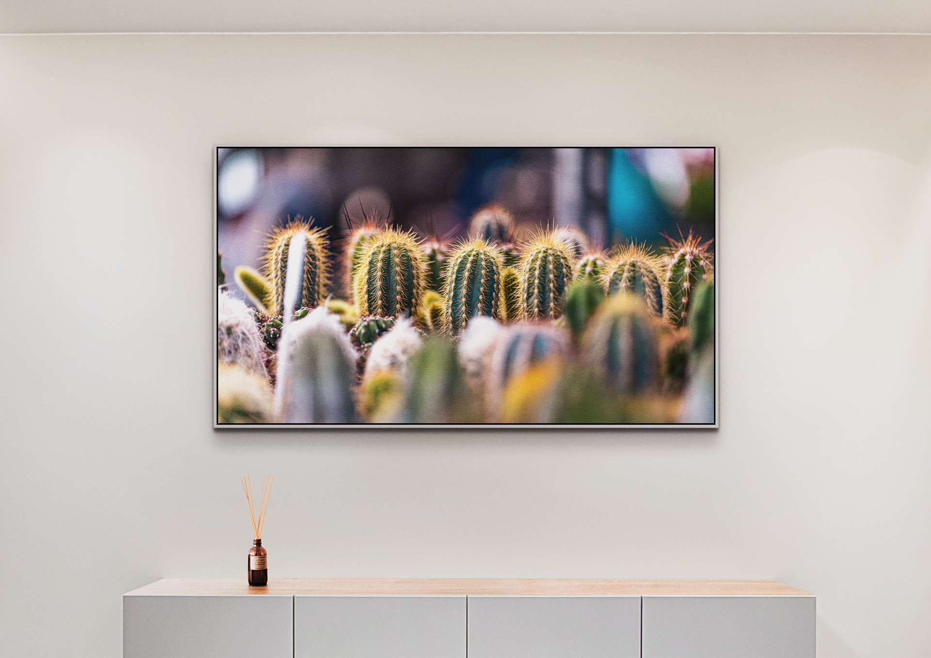 Cactus