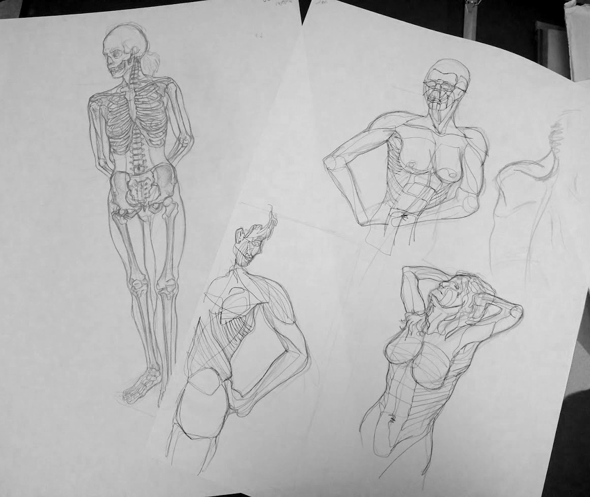 Various 'Life Drawing' Anatomical Studies - The Ruskin School of Art, University of Oxford, 2016