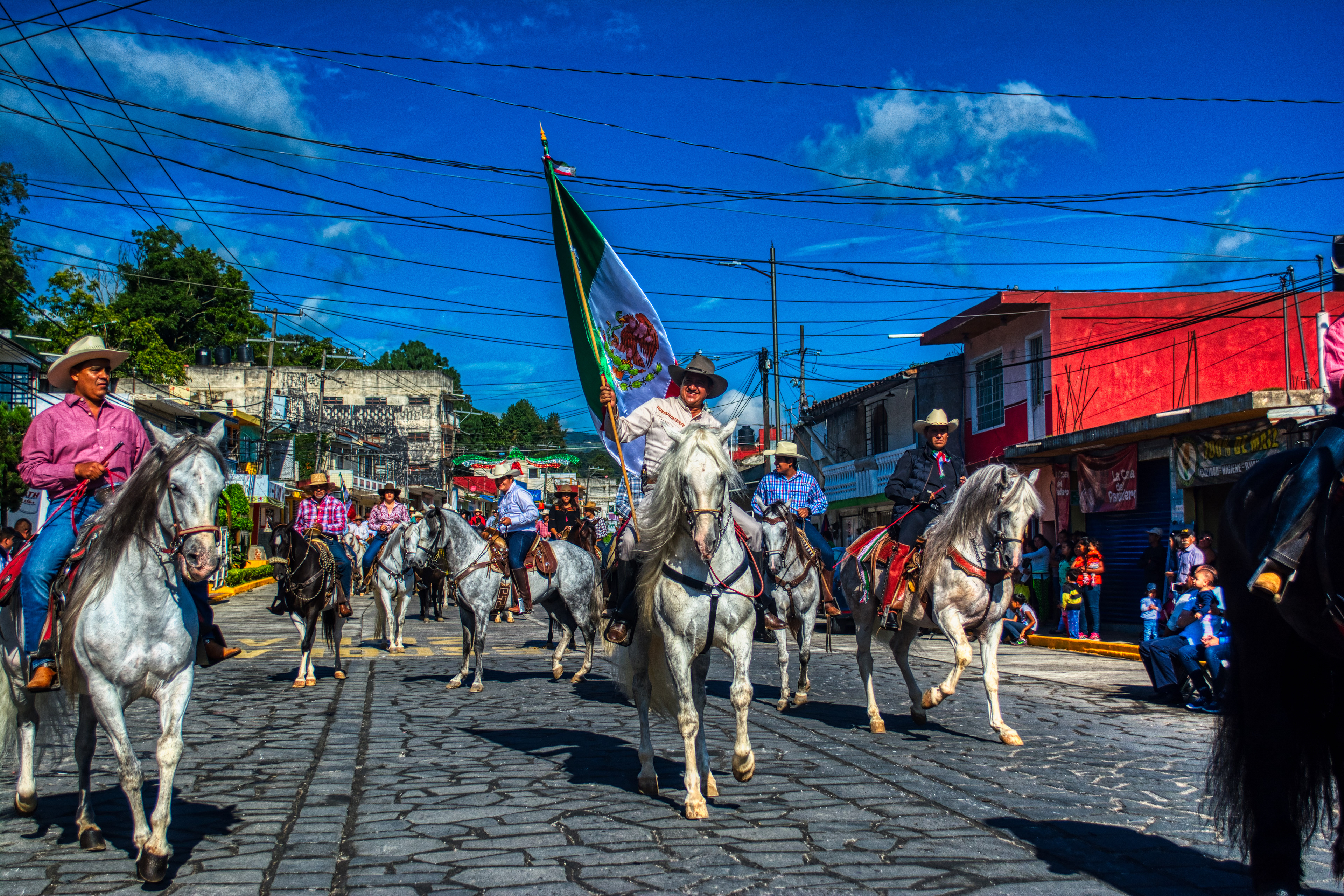Mexican Goverment Social Media Campaign 