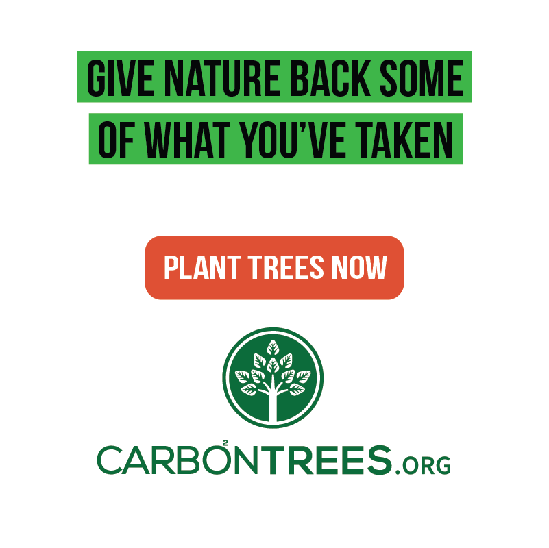 Social Media Campaign, Carbontrees, Toronto, ON