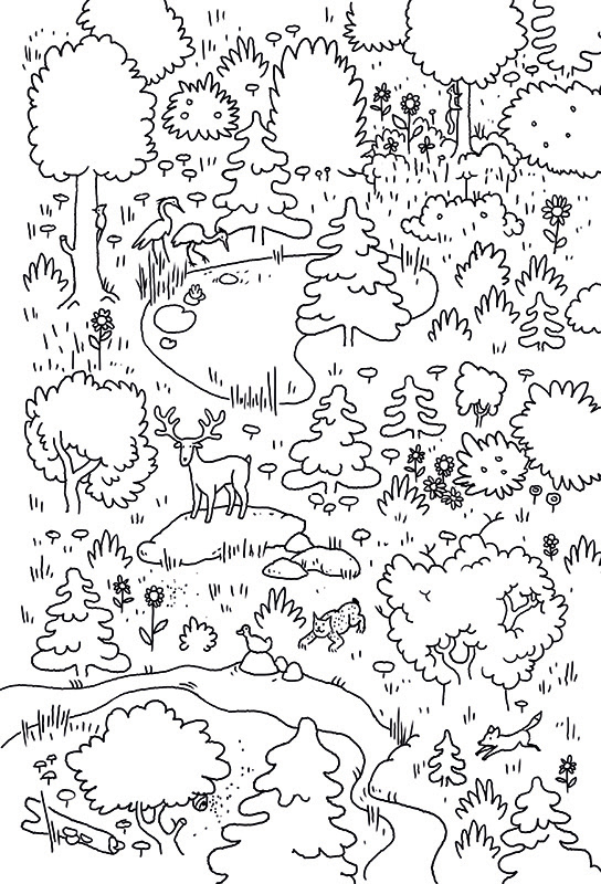 Forrest