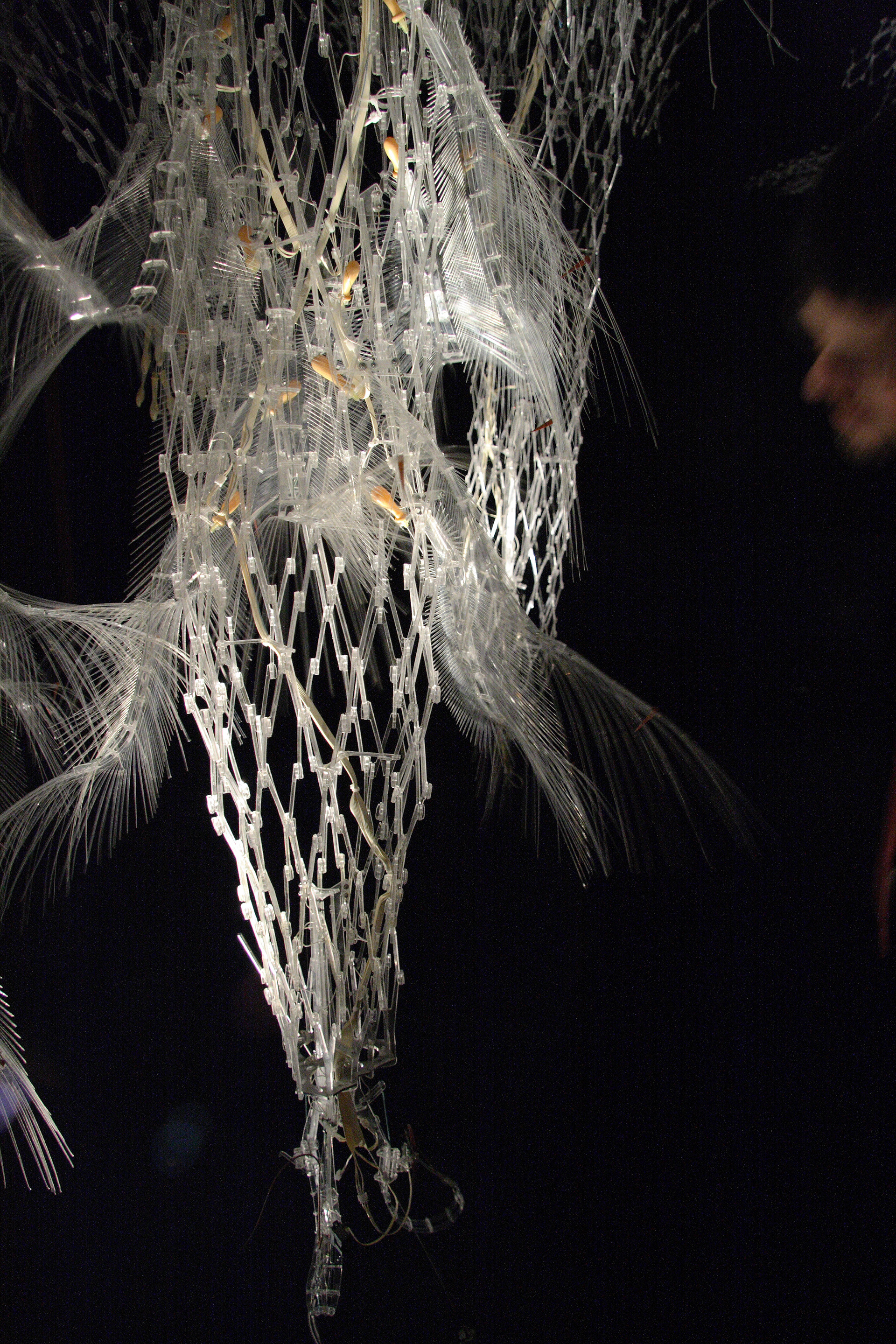 Motion Responsive Component