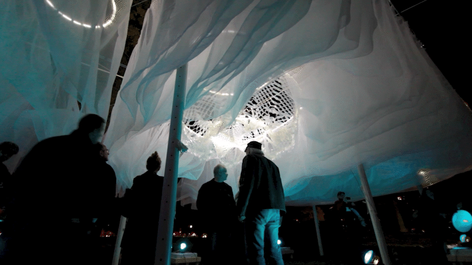Lenticularis | View Below Wind-Responsive Fabric and Lighting