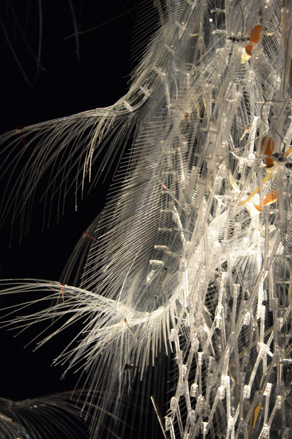Sculpture in Motion