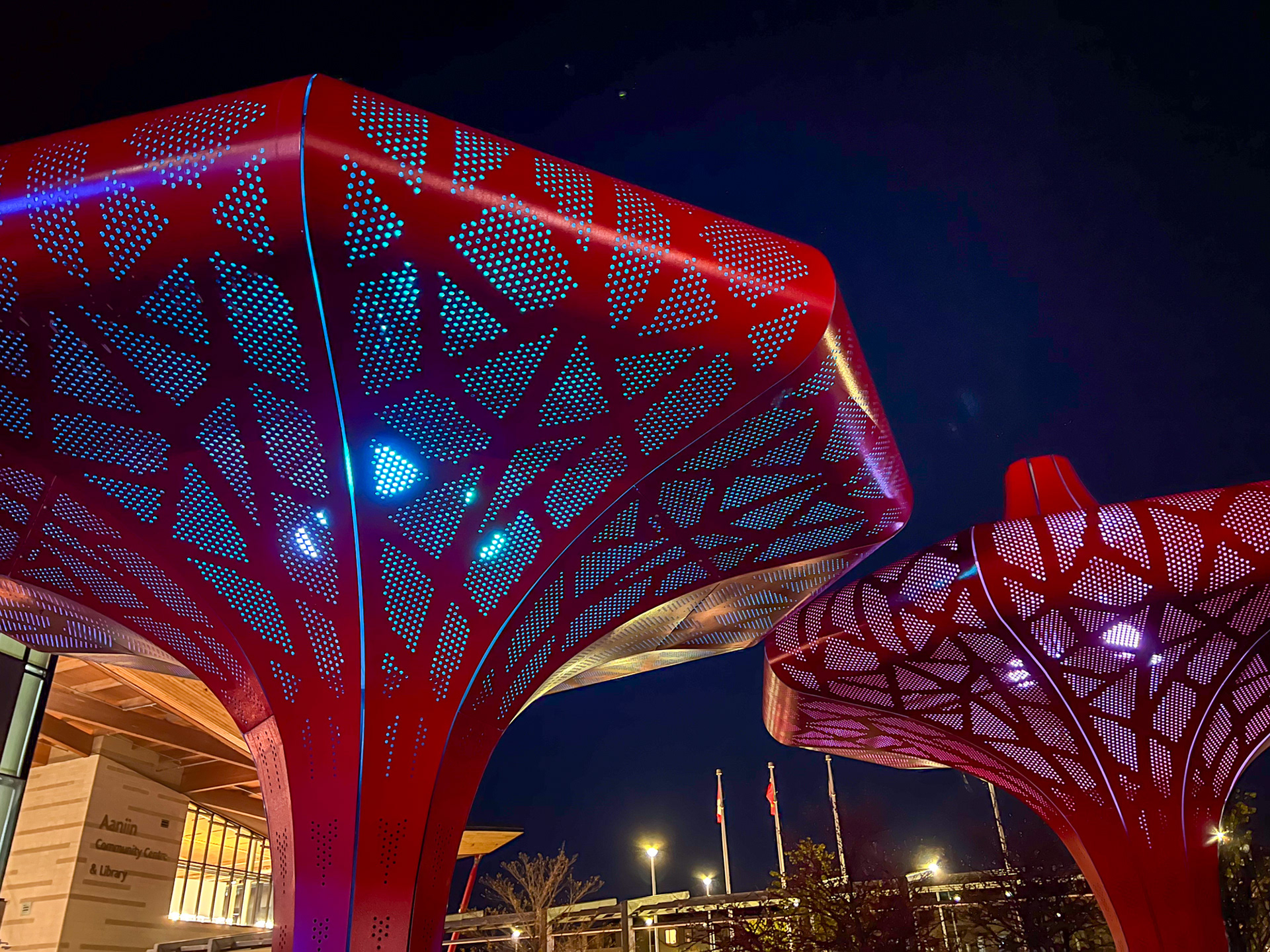 Canopy Tops at Night