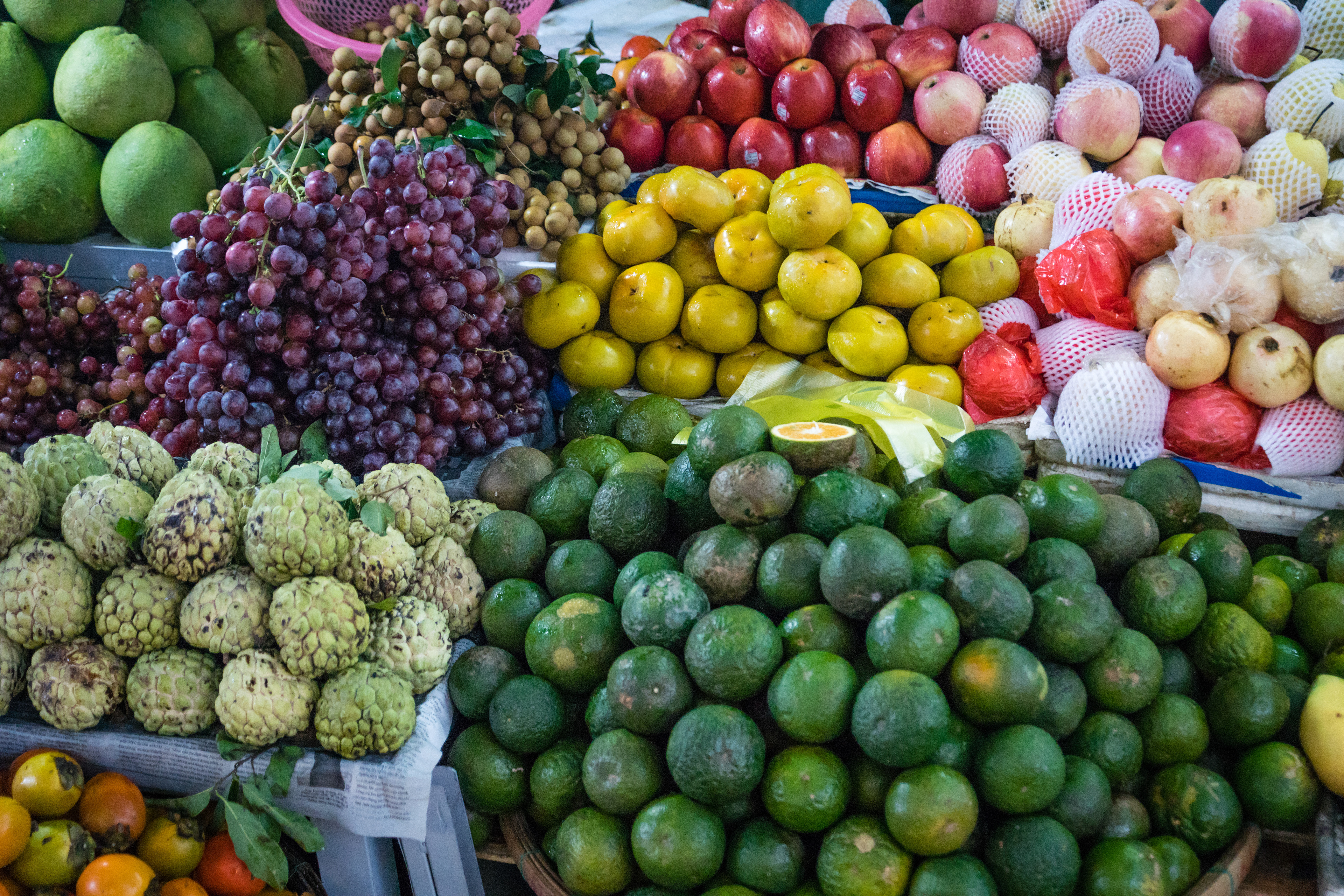 Hanoi
