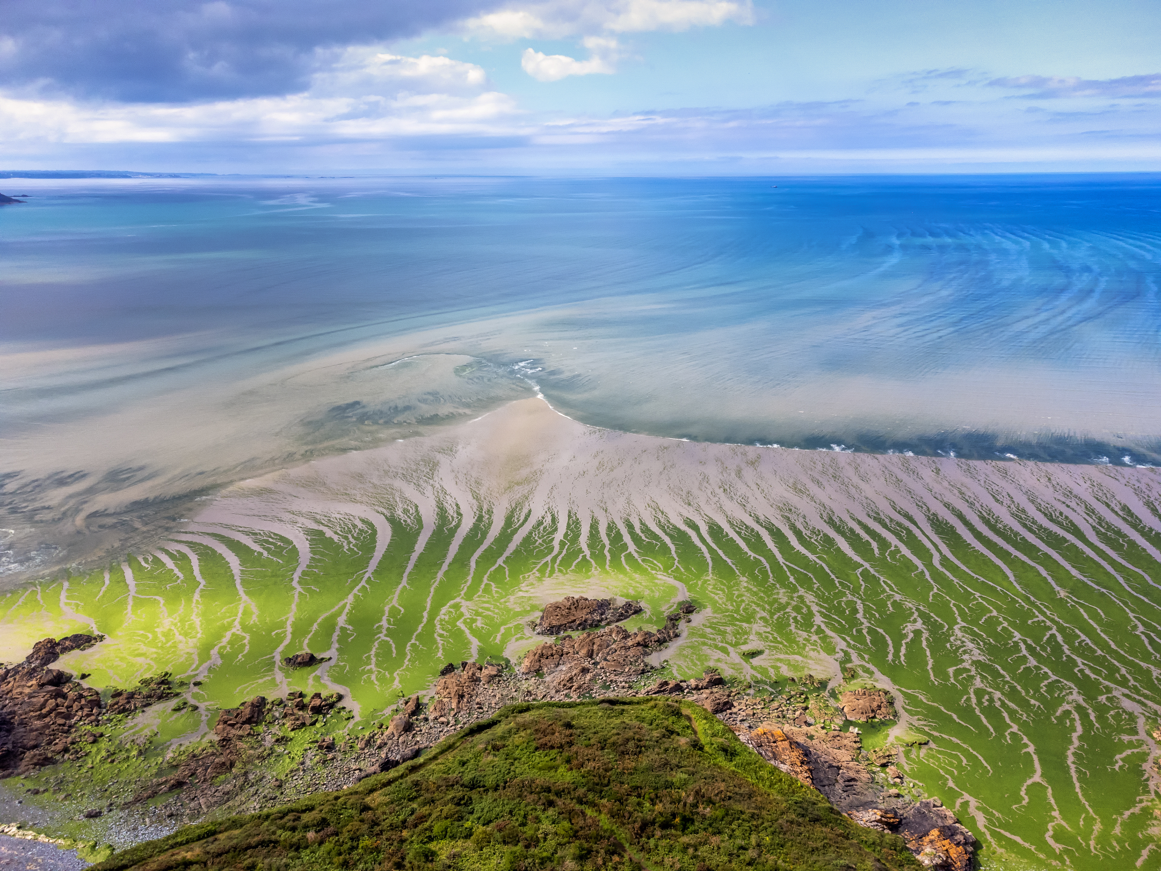 Green algae during low tide