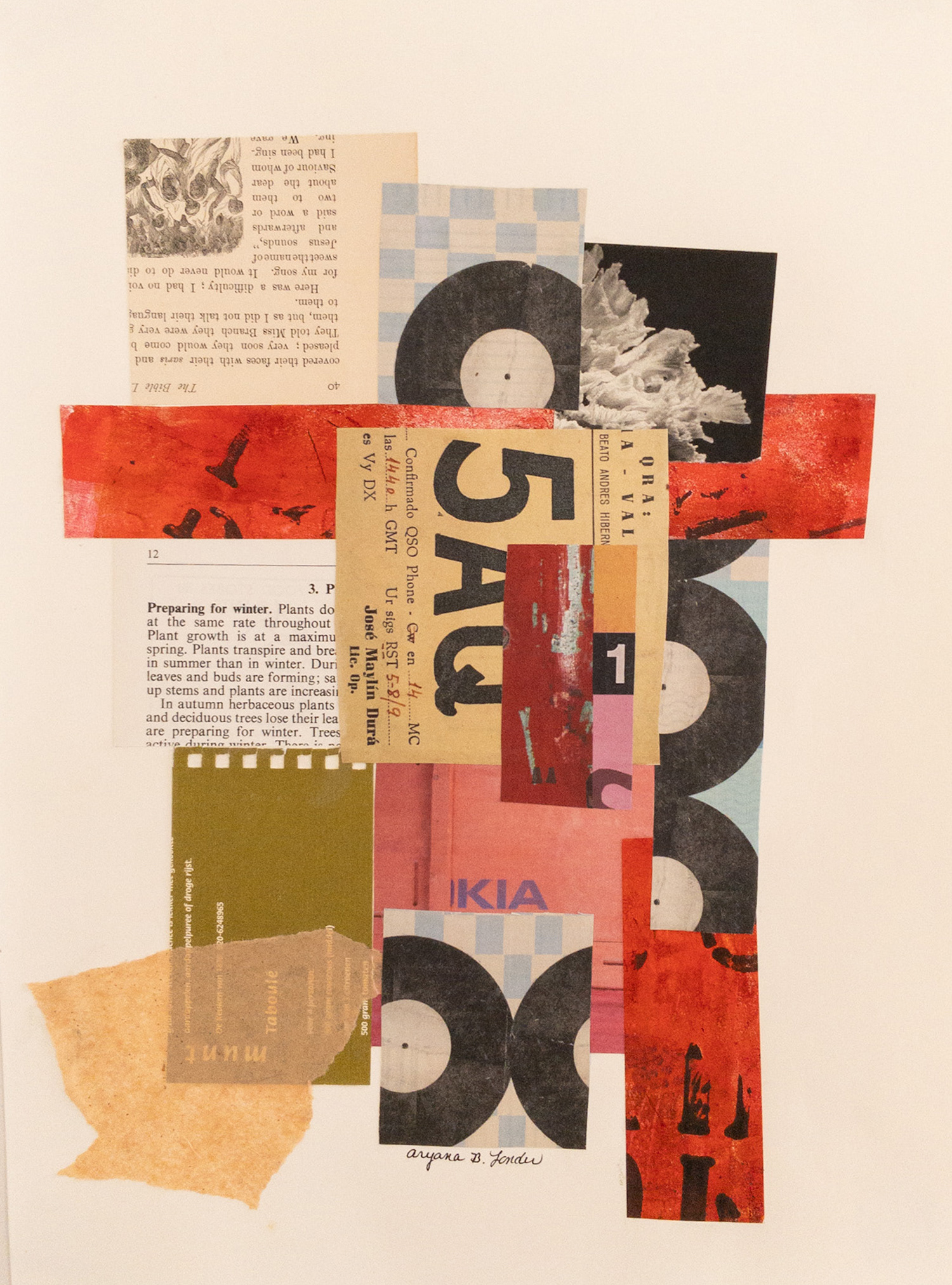 "Amongst It All" 16" x 12"