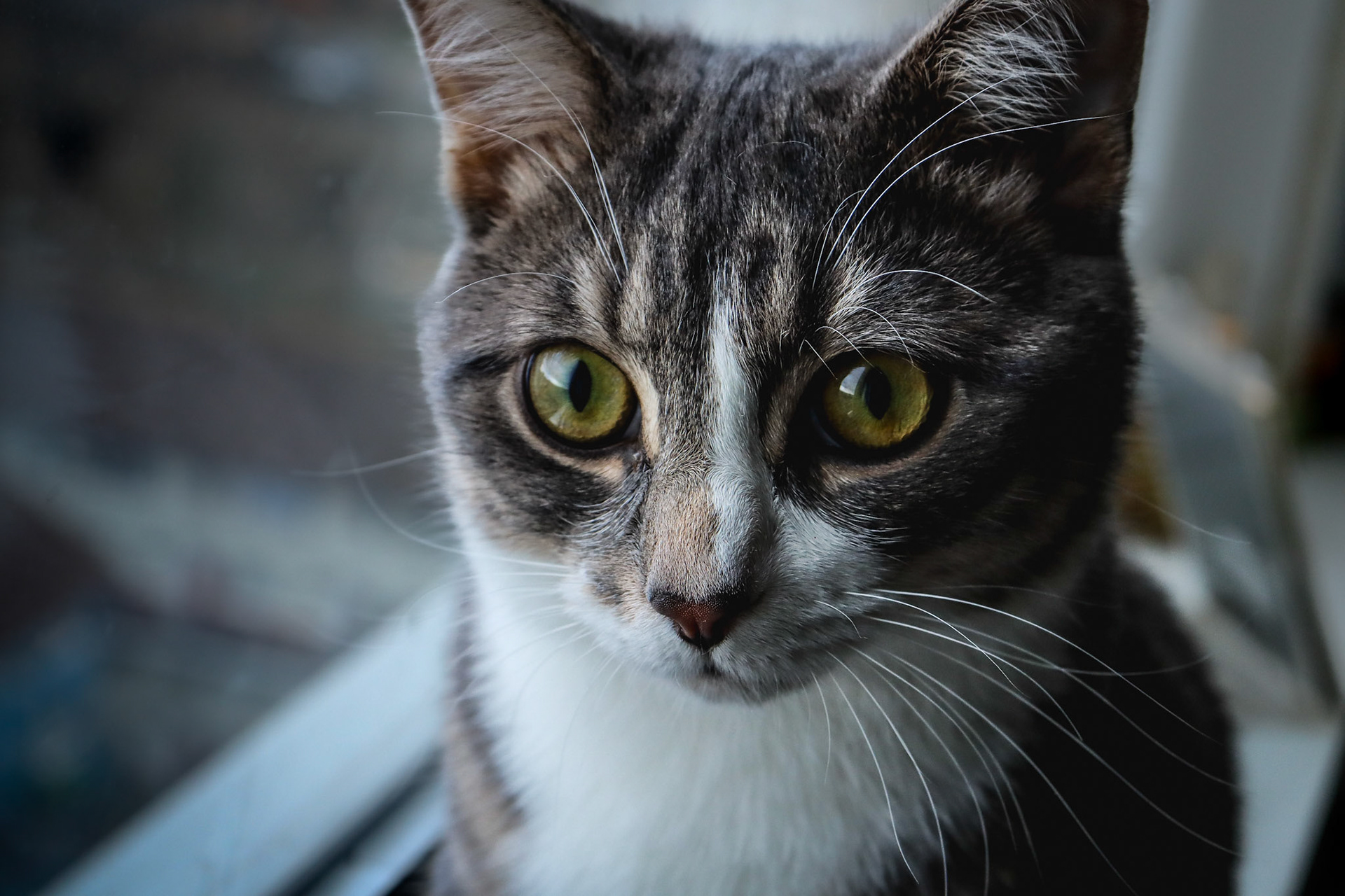 Another picture of Yukii