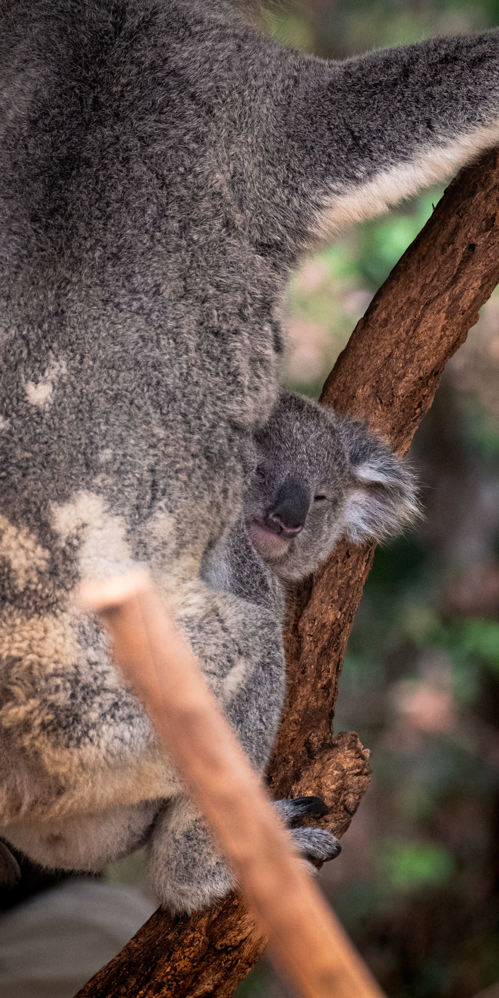 -F5.0   ISO 3200   1/450ss 