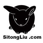 Sitong Liu