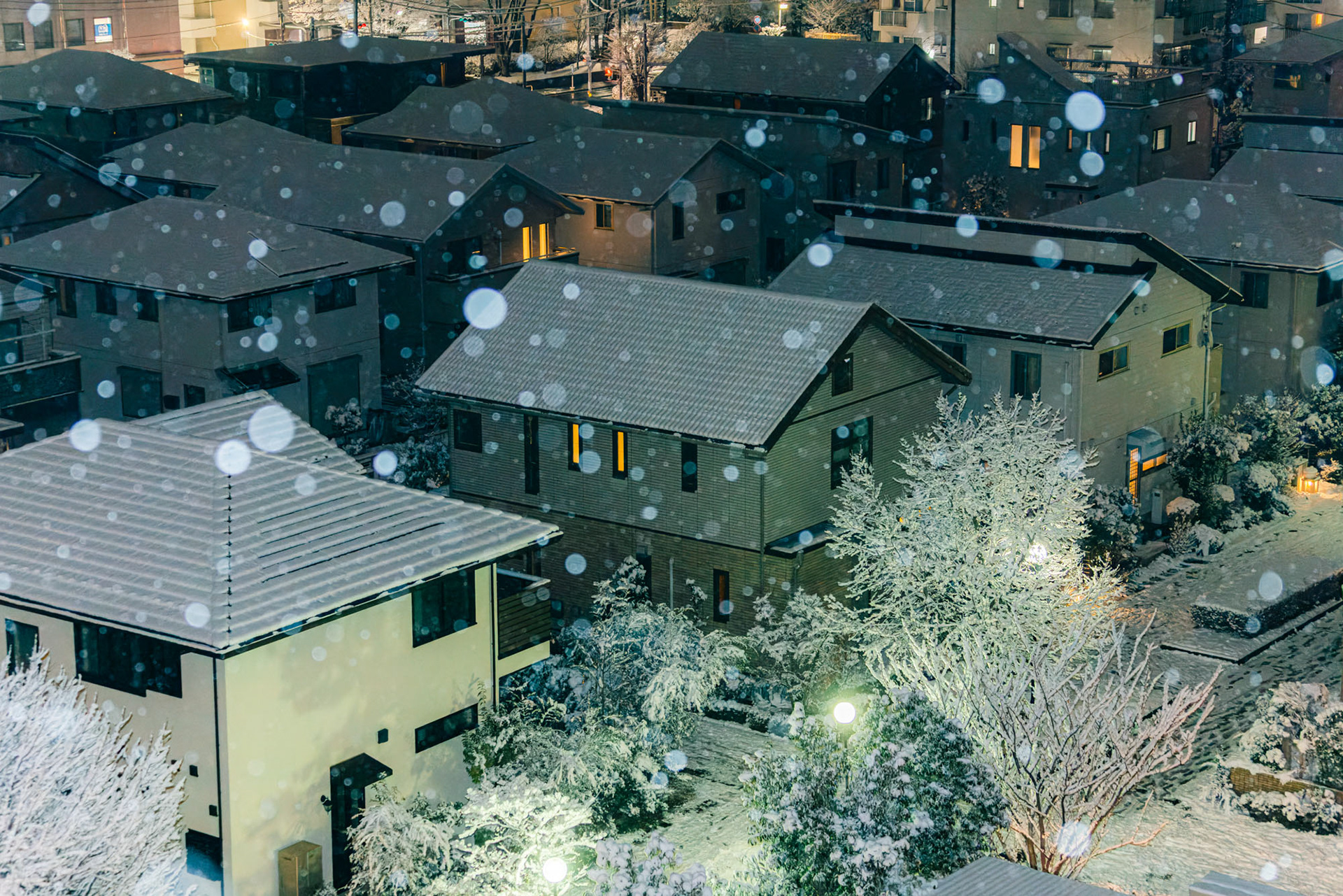 粉雪が舞う冬の街