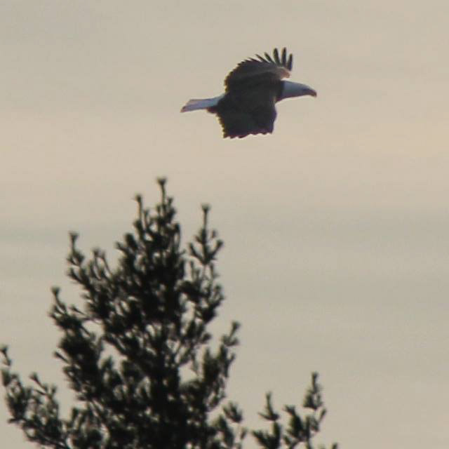 December 2015 Tee Lake Resort