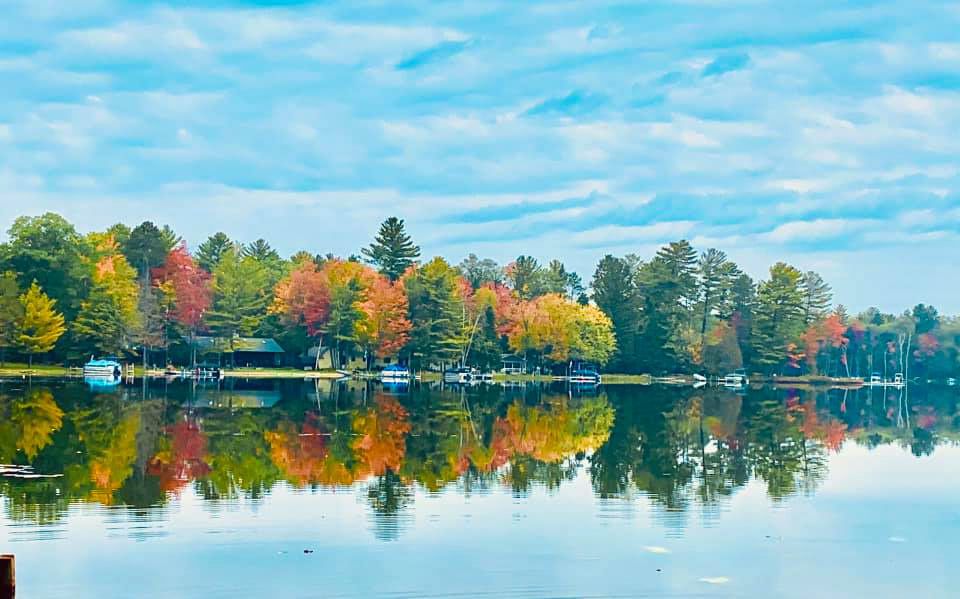View from Henry Hwy toward Tee Lake Woods Rd. Fall 2020 Cyndi Titello
