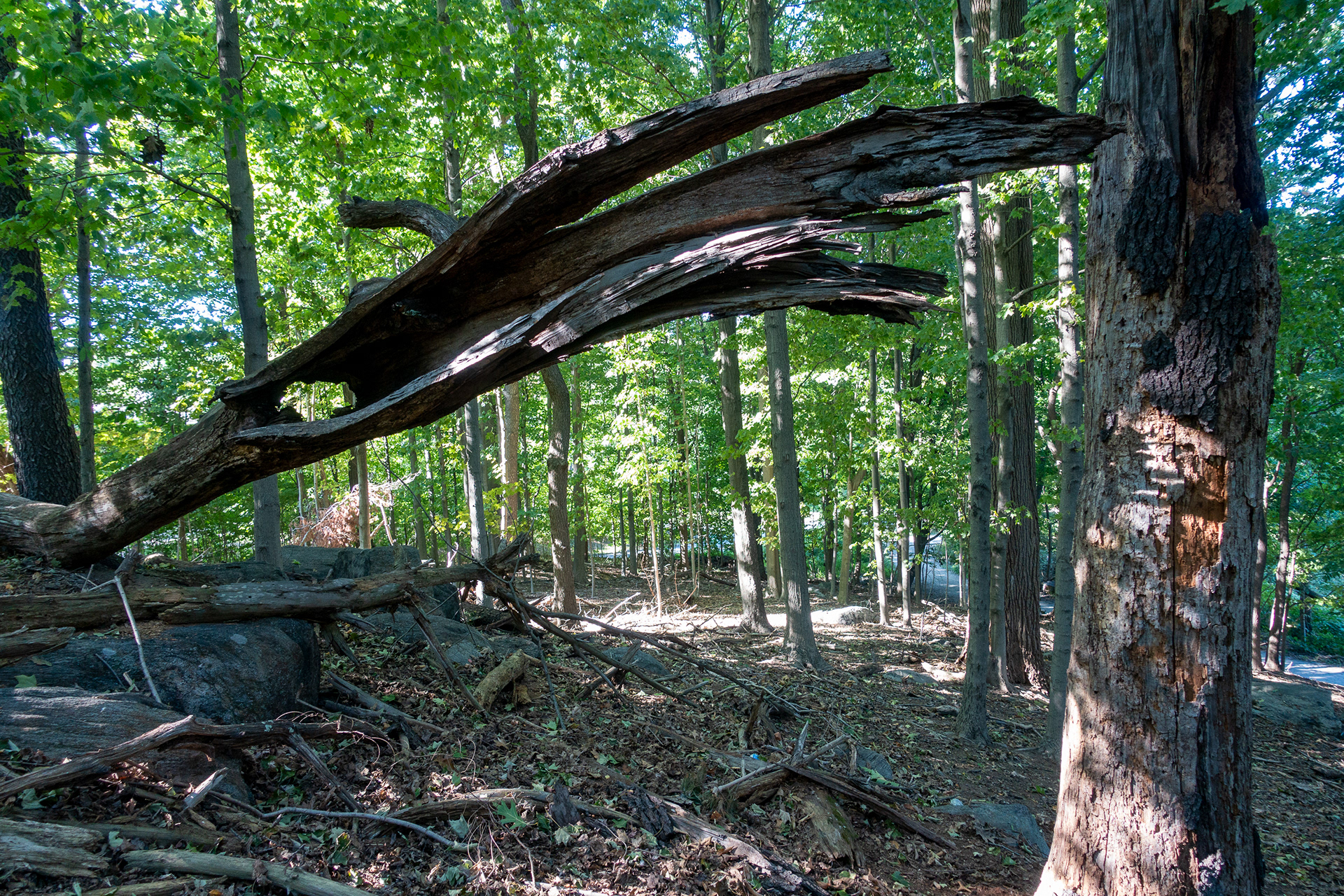 Twin Lakes Park