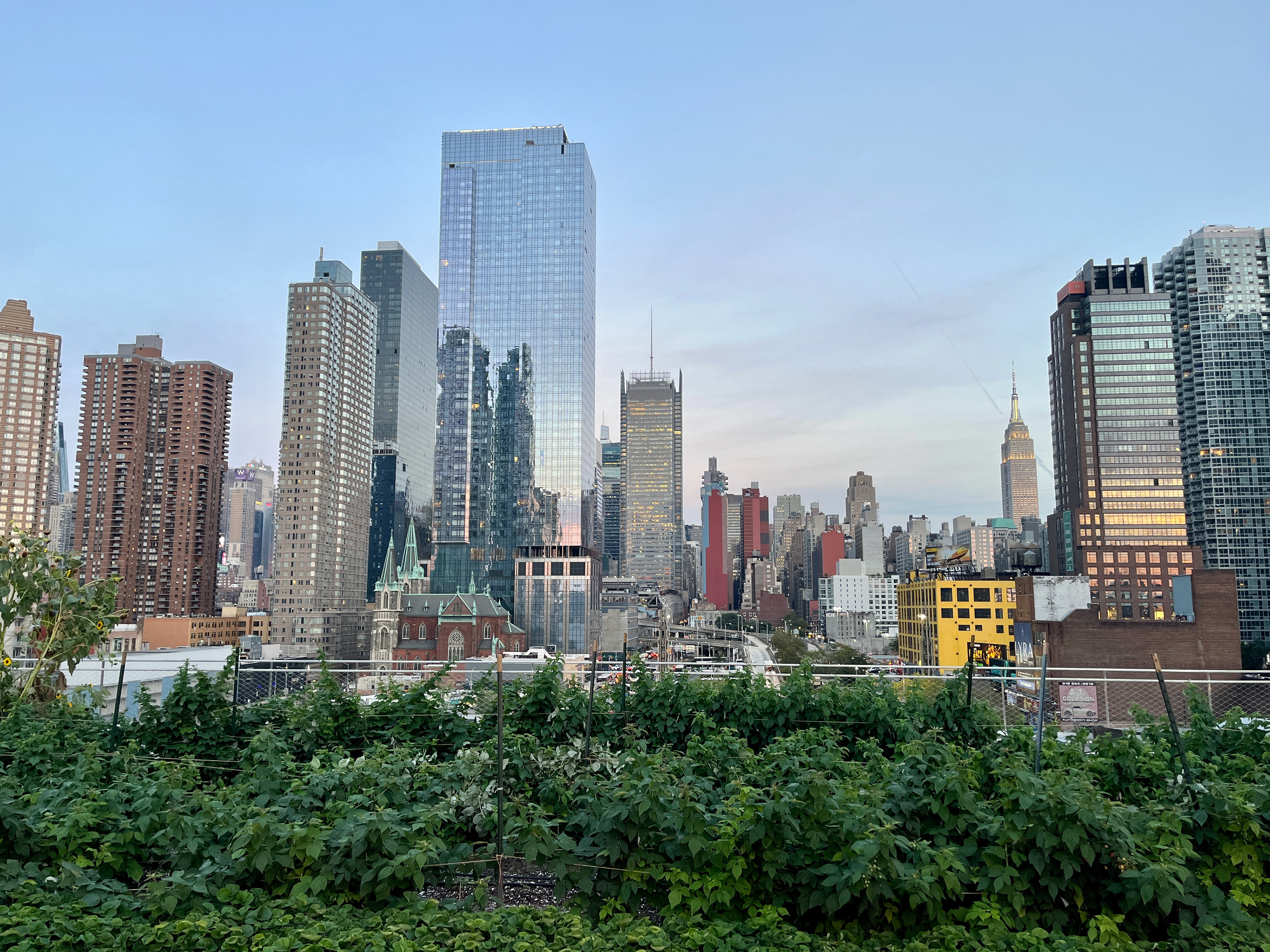 Green Roof on the Jacob Javit's Center 
