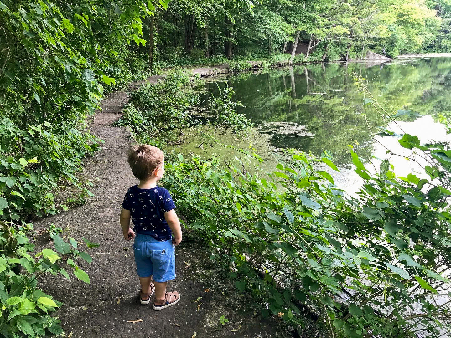 Sheldrake Environmental Center