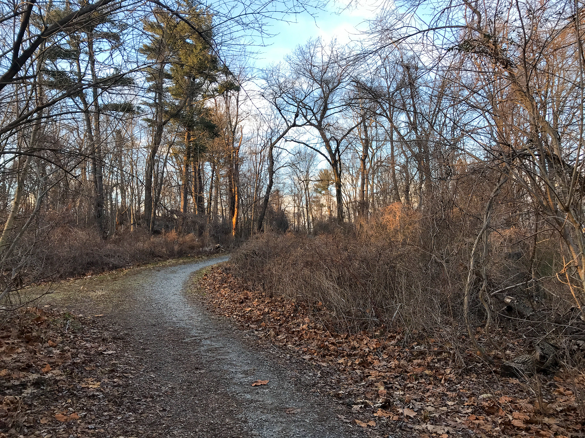 Twin Lakes Park