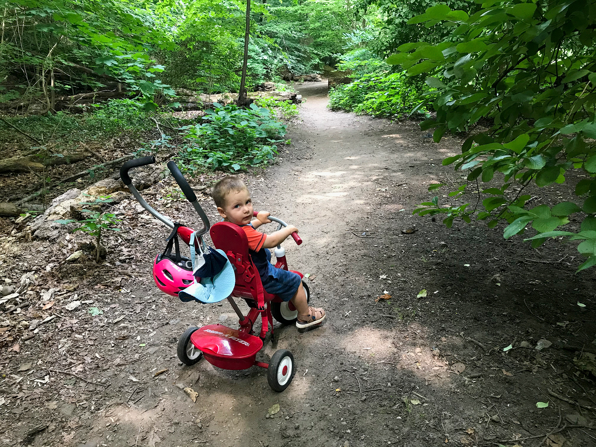 Hunts Woods