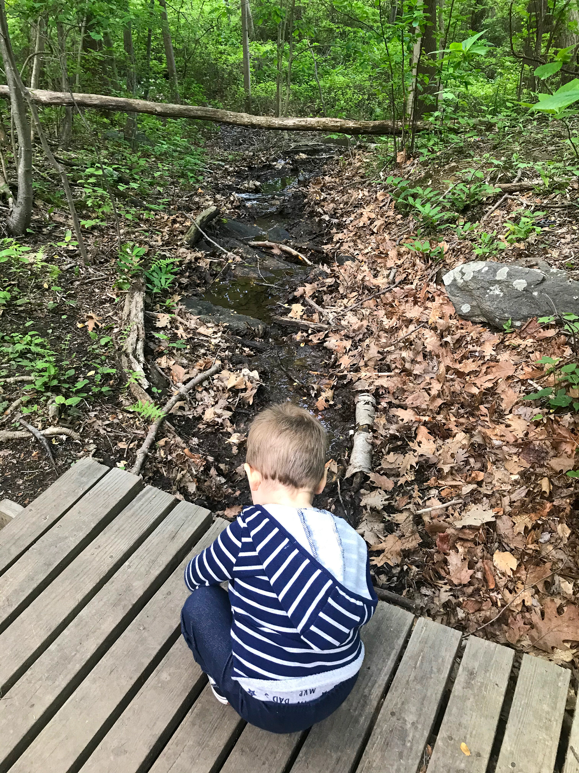 Cranberry Lake Preserve