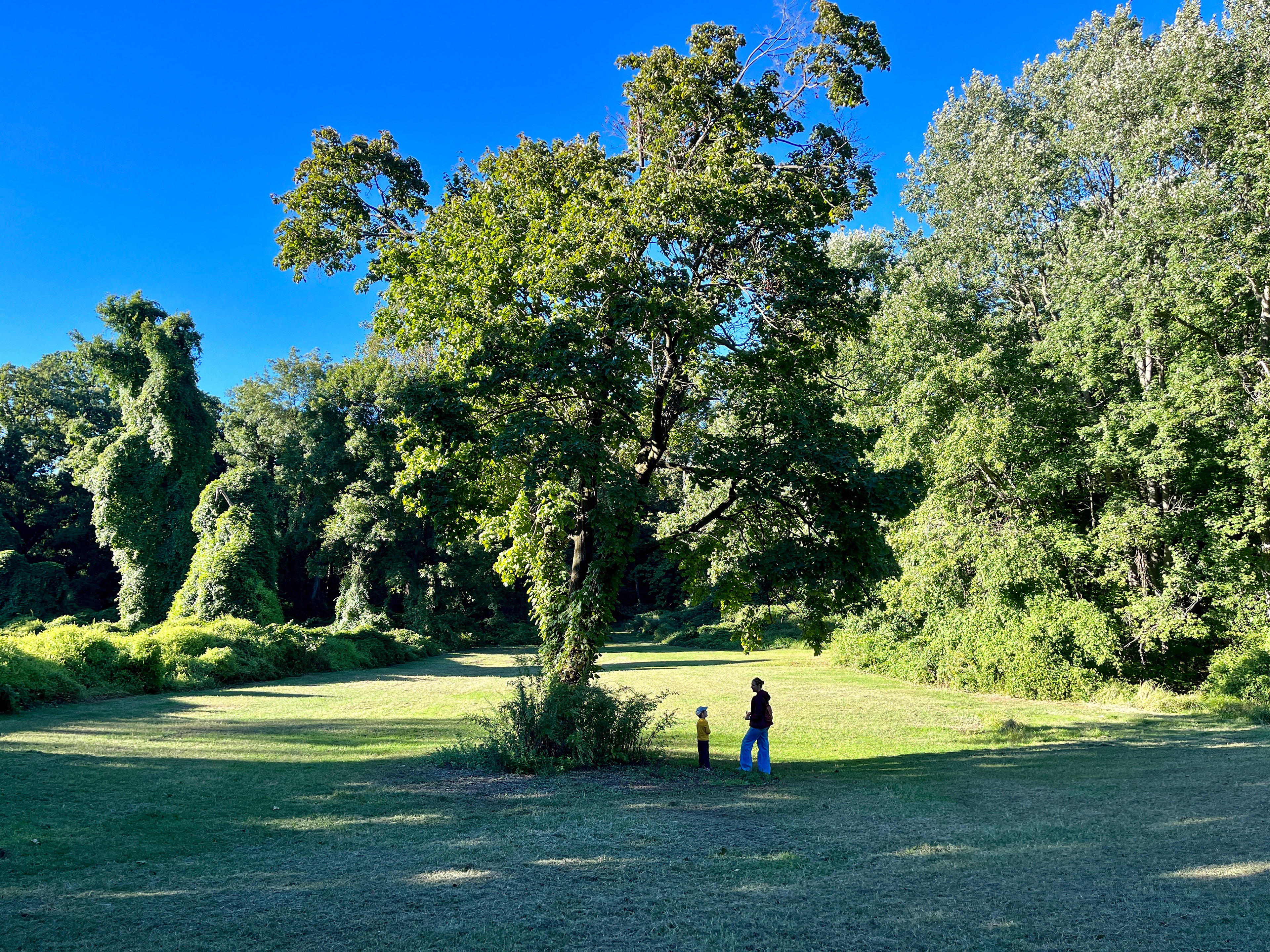 Ward Acres