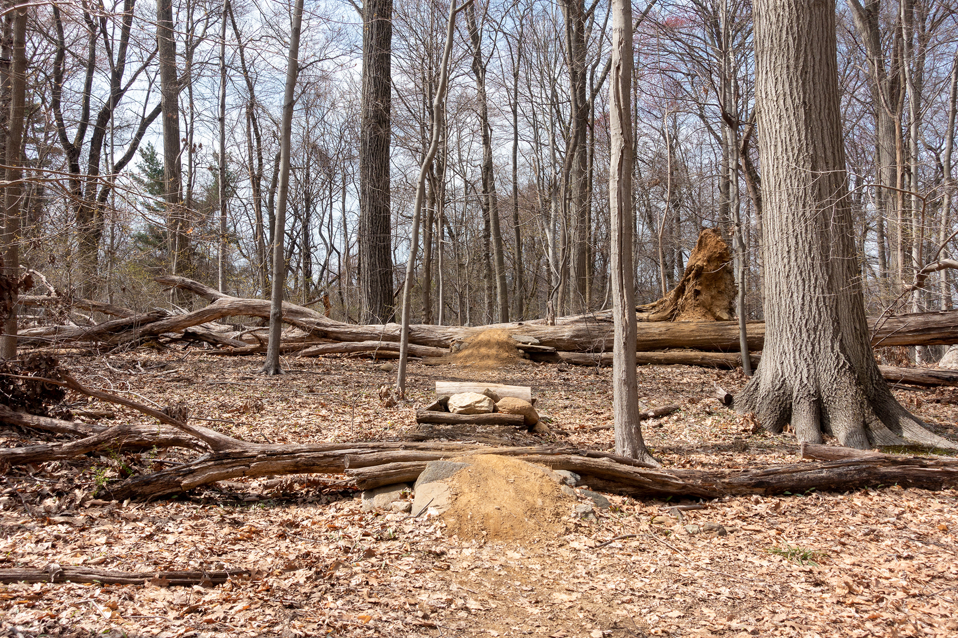 Twin Lakes Park