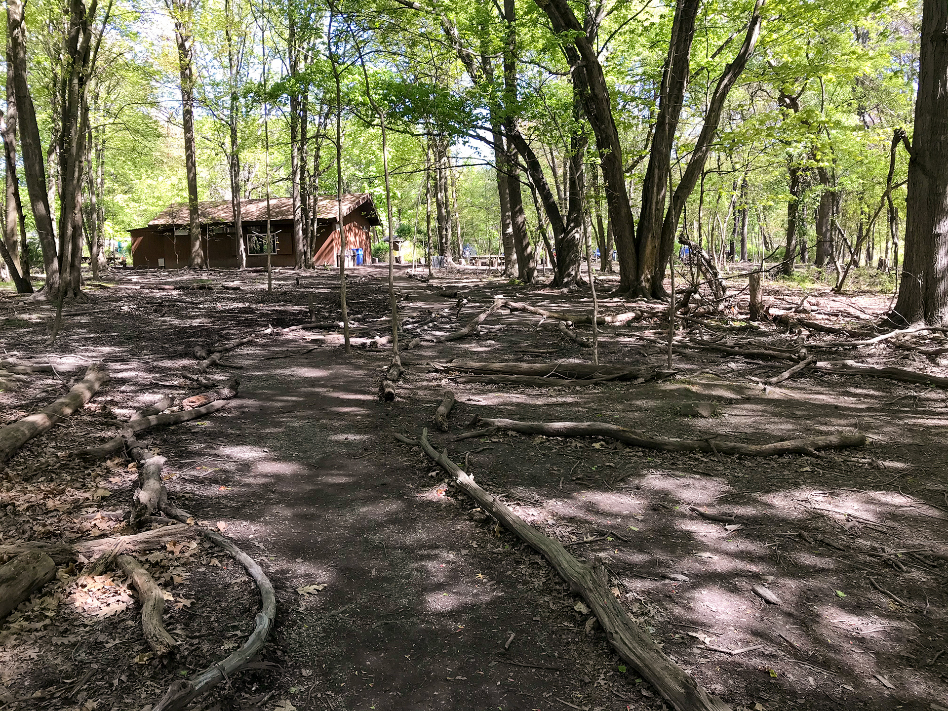 Marshlands Conservancy