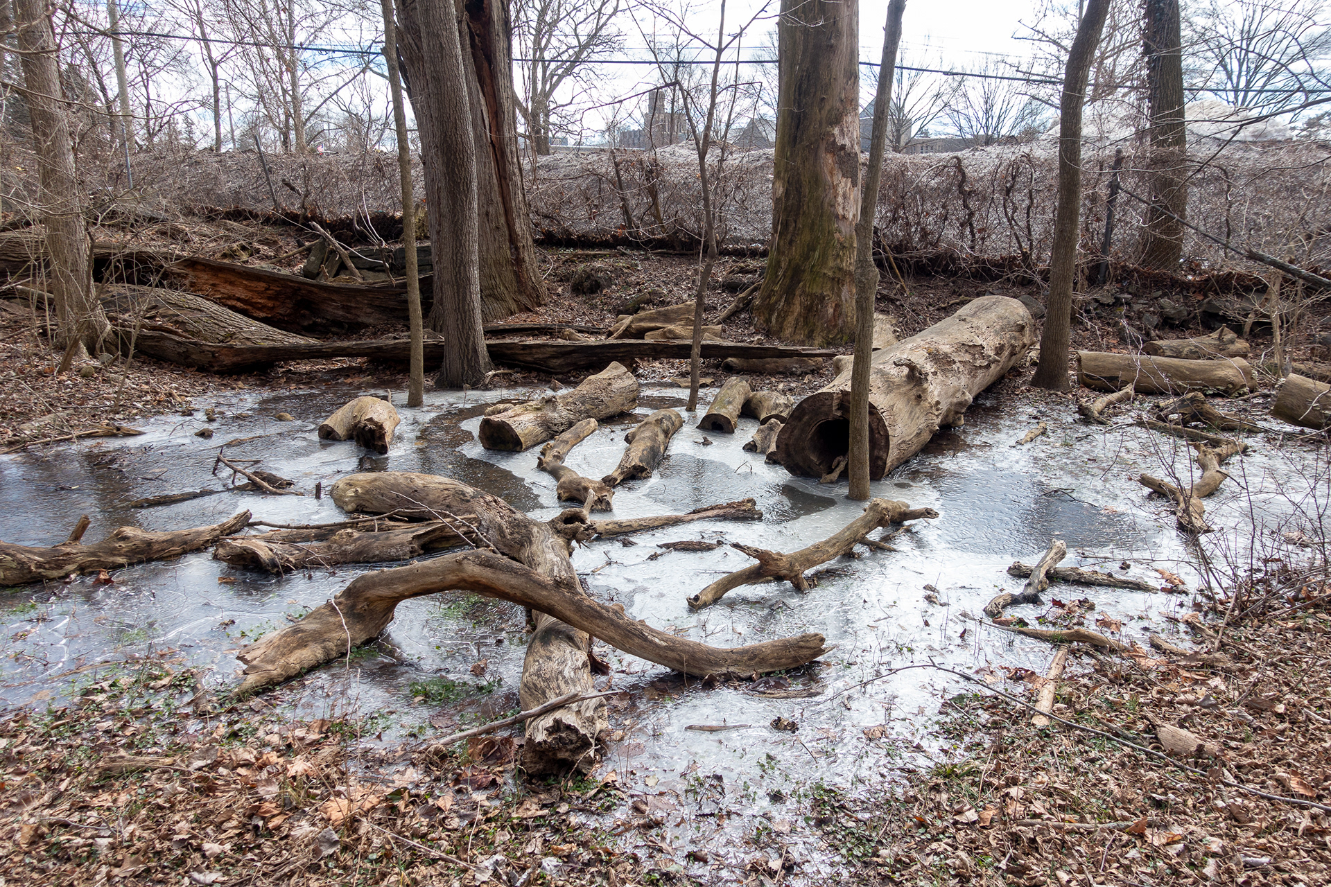 Rye Nature Center