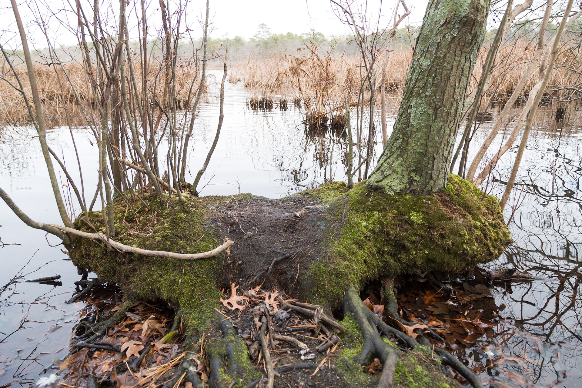 South Haven Park, Long Island, New York