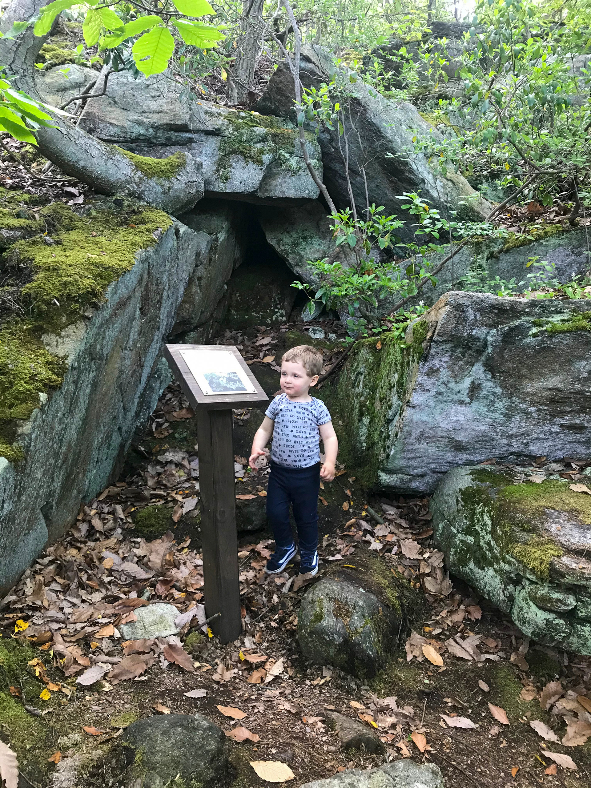 Cranberry Lake Preserve