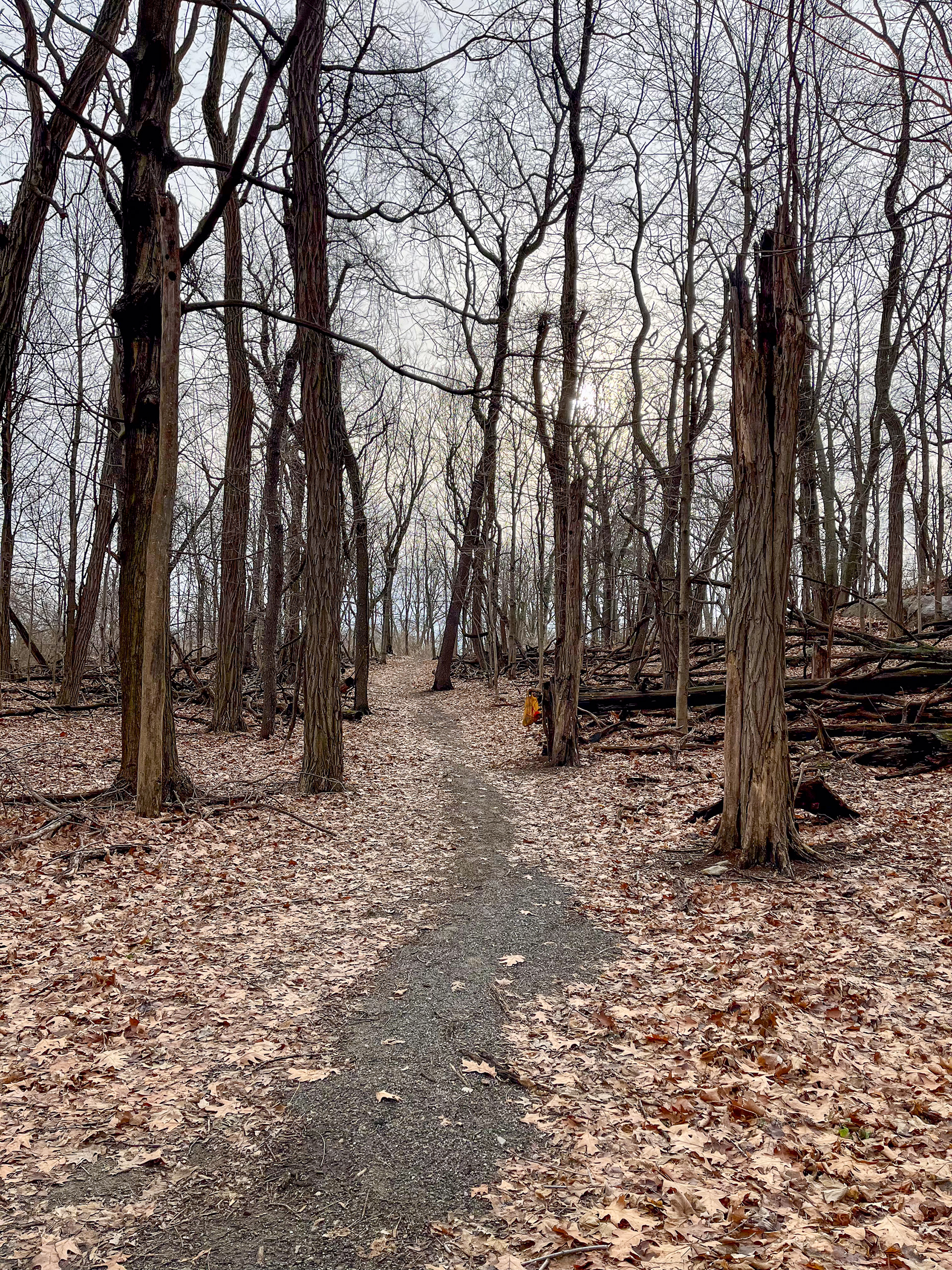 Greenburgh Nature Center