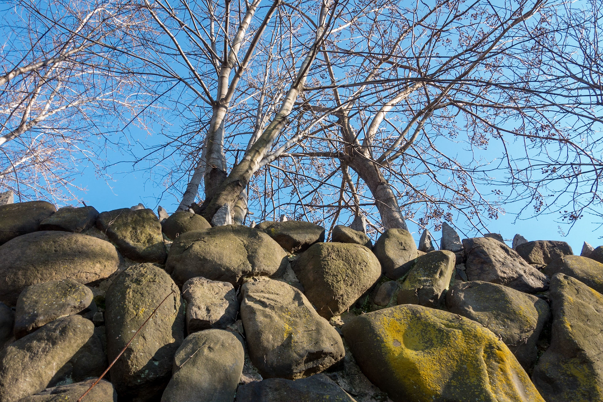 Outside Calvary Cemetary