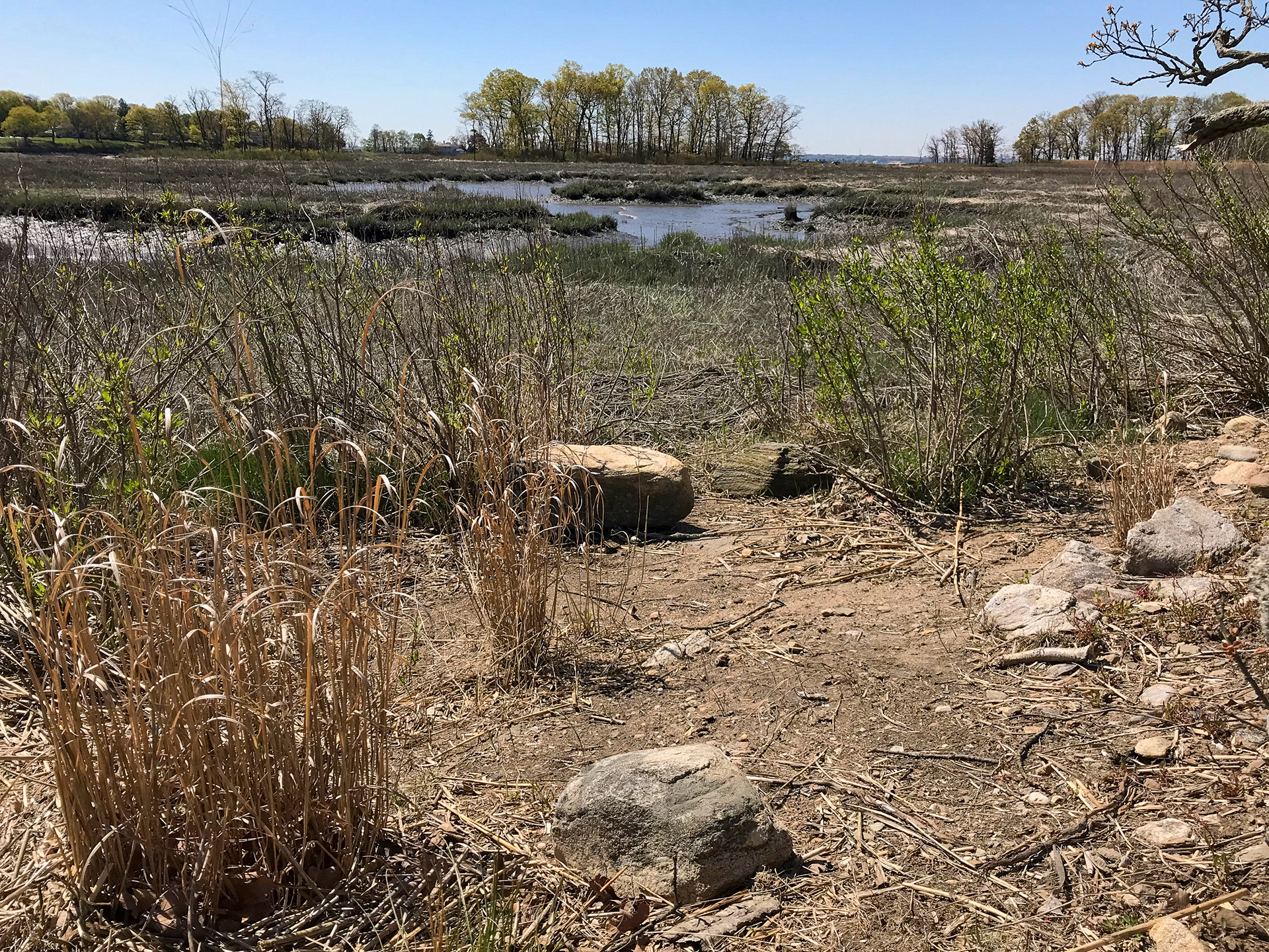 Marshlands Conservancy