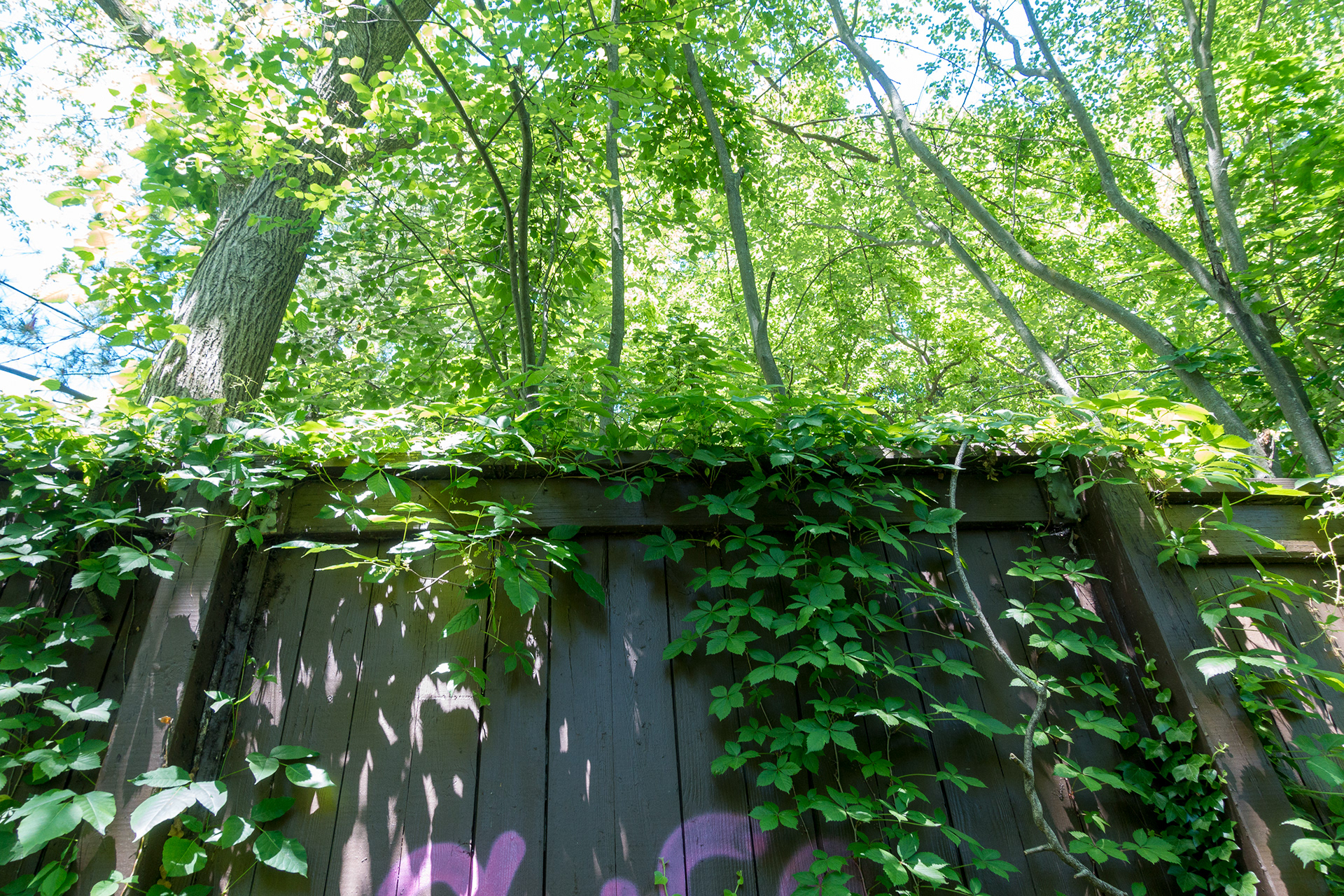 Greenburgh Nature Center