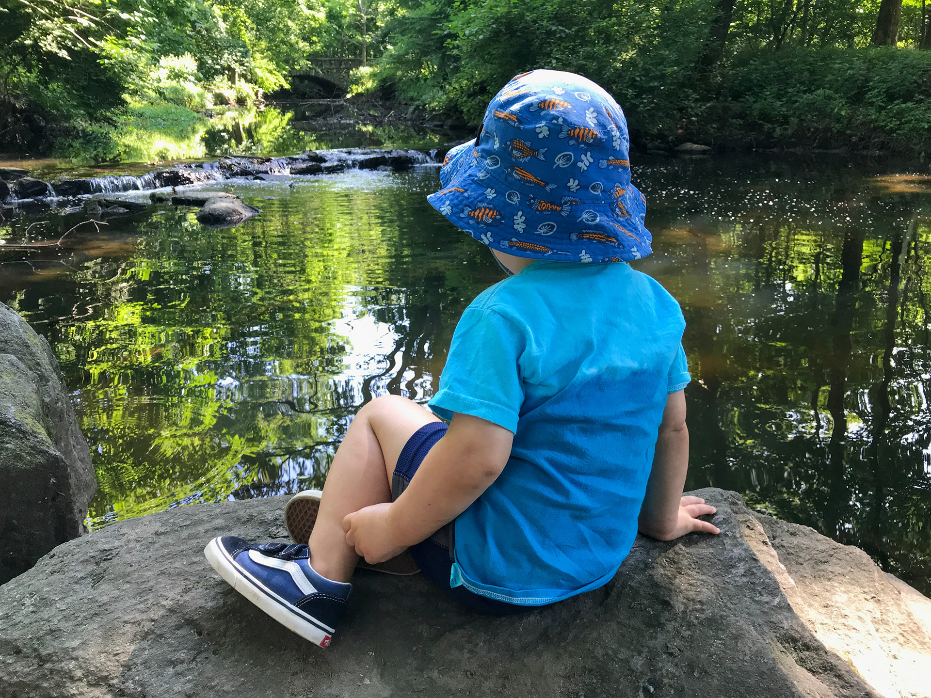 Rye Nature Center