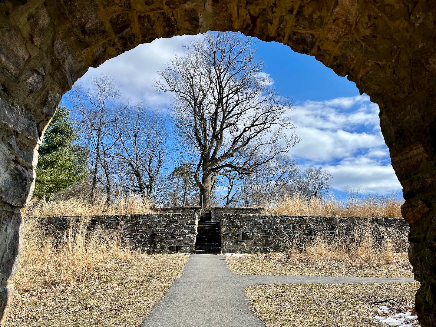 Lenoir Preserve