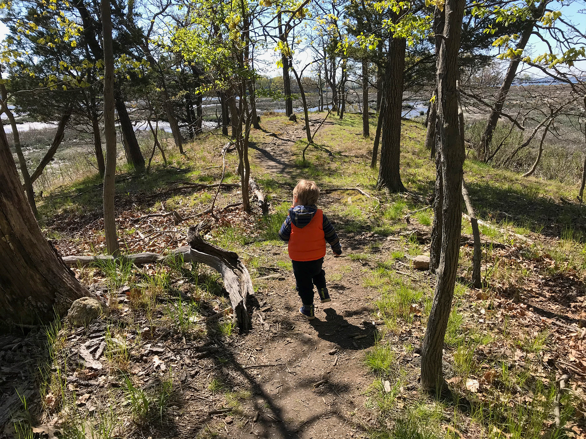 Marshlands Conservancy