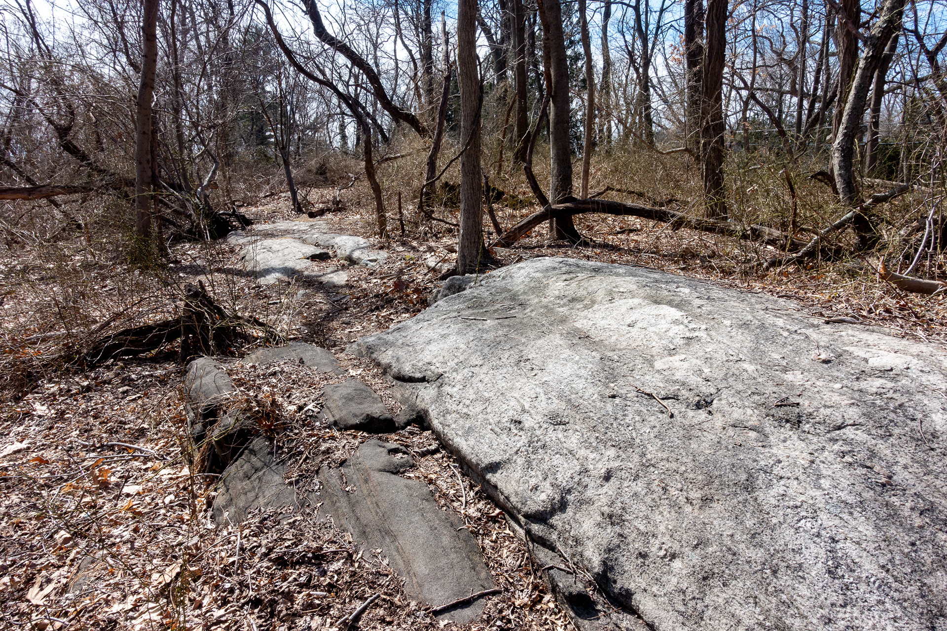 Twin Lakes Park
